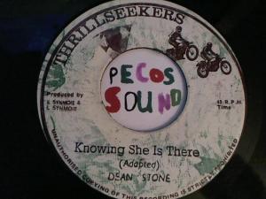 Hud-2 vinyl photos 2835