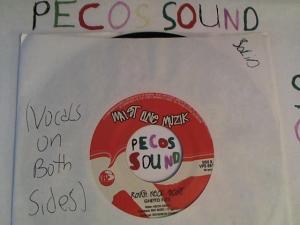 Hud-2 vinyl photos 2838