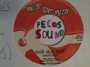 Hud-2 vinyl photos 2840