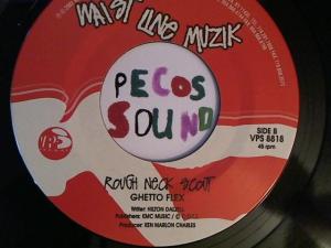 Hud-2 vinyl photos 2841