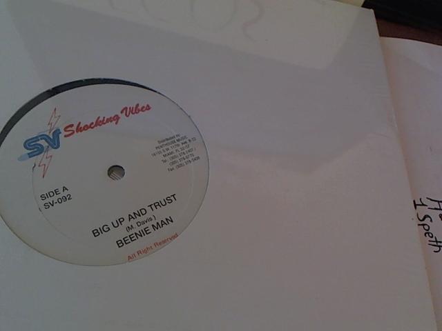 Hud-2 vinyl photos 284