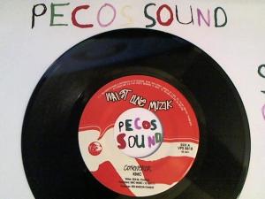 Hud-2 vinyl photos 2843