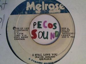 Hud-2 vinyl photos 2849