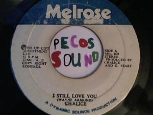 Hud-2 vinyl photos 2851