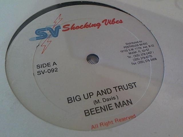 Hud-2 vinyl photos 285