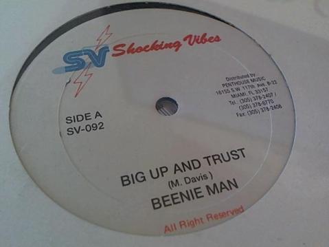 Hud-2 vinyl photos 285