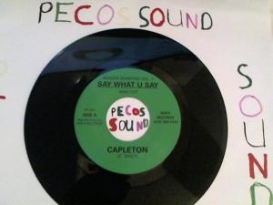 Hud-2 vinyl photos 2856