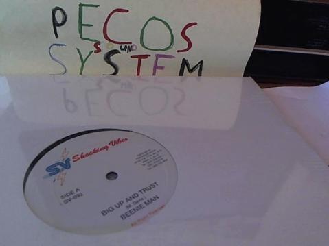 Hud-2 vinyl photos 286