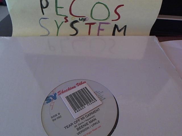 Hud-2 vinyl photos 290