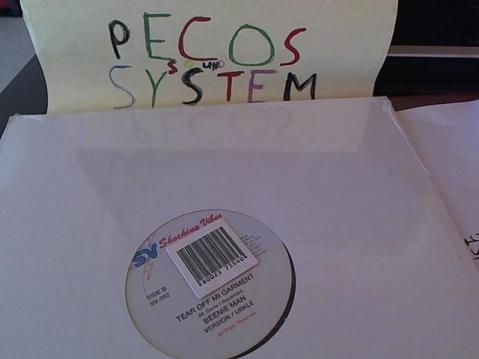 Hud-2 vinyl photos 291