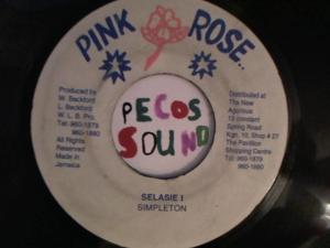 Hud-2 vinyl photos 2919