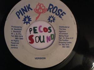 Hud-2 vinyl photos 2920