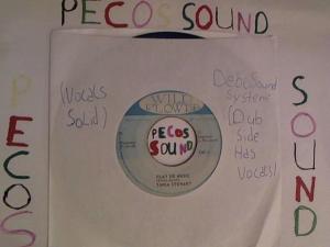 Hud-2 vinyl photos 2930