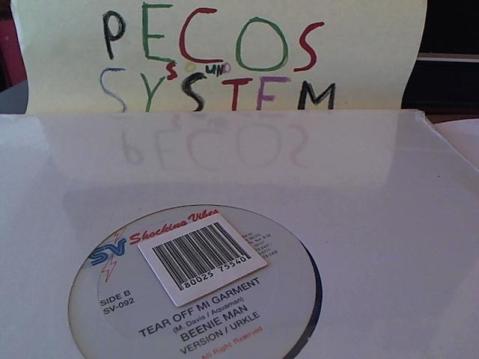 Hud-2 vinyl photos 294