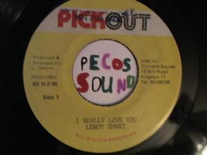 Hud-2 vinyl photos 2962