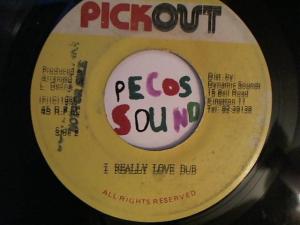 Hud-2 vinyl photos 2963