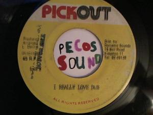 Hud-2 vinyl photos 2964