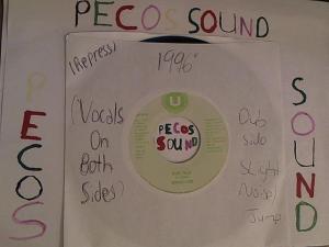 Hud-2 vinyl photos 2965