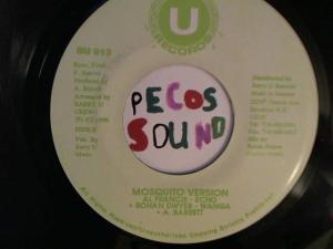 Hud-2 vinyl photos 2968