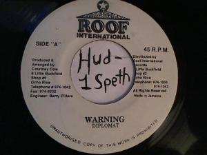 Hud-2 vinyl photos 2970