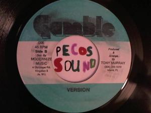 Hud-2 vinyl photos 2979