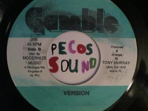 Hud-2 vinyl photos 2980