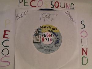 Hud-2 vinyl photos 2987