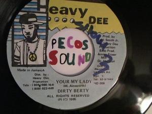 Hud-2 vinyl photos 2989