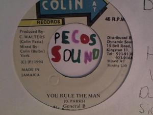 Hud-2 vinyl photos 2992