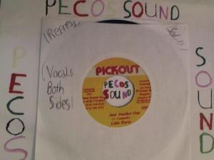 Hud-2 vinyl photos 3032