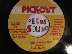 Hud-2 vinyl photos 3034