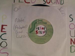 Hud-2 vinyl photos 3036