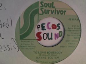 Hud-2 vinyl photos 3038