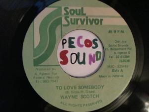 Hud-2 vinyl photos 3039