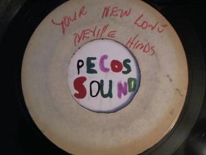 Hud-2 vinyl photos 3061