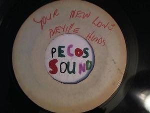 Hud-2 vinyl photos 3062