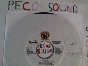 Hud-2 vinyl photos 3064