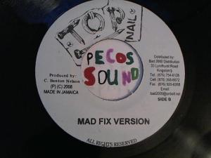 Hud-2 vinyl photos 3074