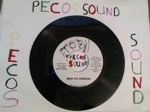 Hud-2 vinyl photos 3075