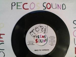 Hud-2 vinyl photos 3076