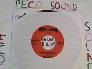 Hud-2 vinyl photos 3077