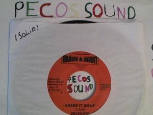 Hud-2 vinyl photos 3078