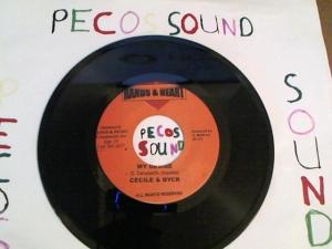 Hud-2 vinyl photos 3083