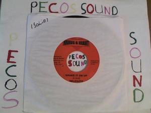 Hud-2 vinyl photos 3084