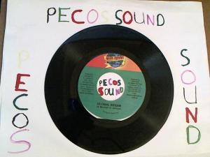 Hud-2 vinyl photos 3089