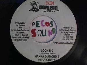 Hud-2 vinyl photos 3093