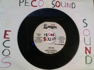 Hud-2 vinyl photos 3094