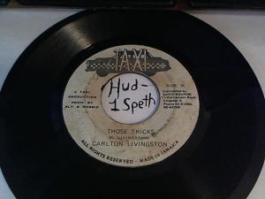 Hud-2 vinyl photos 310