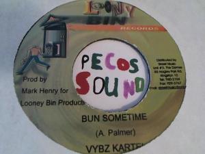 Hud-2 vinyl photos 3112