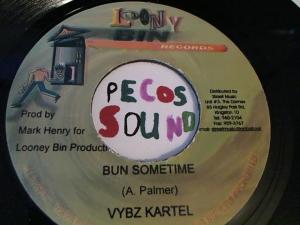 Hud-2 vinyl photos 3113